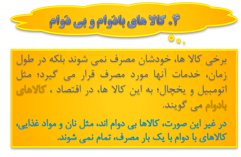 ns7 picture1