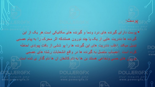 slide12_256790991