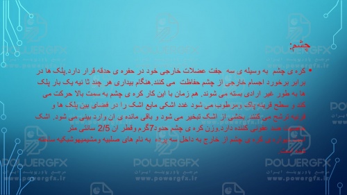slide3_1888612578