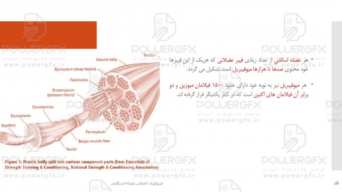 slide18
