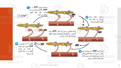 slide24