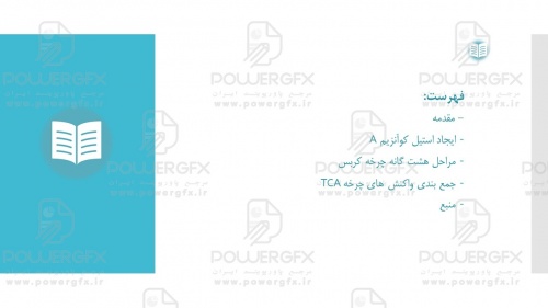 slide3_355284962