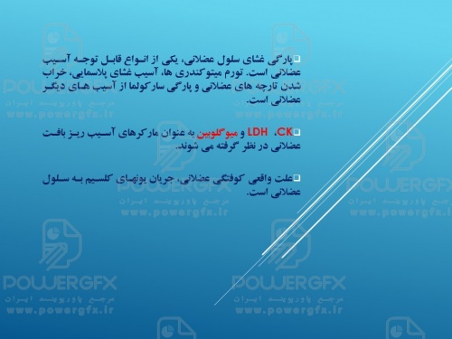 slide7