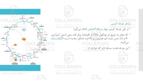 slide7_1619391625