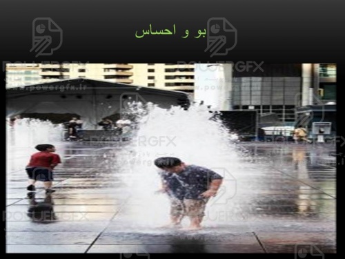 slide13_1359051871