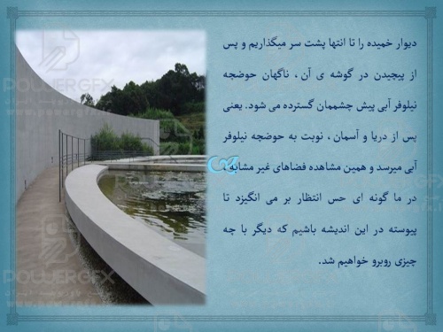slide17_1298979794